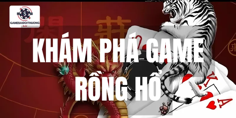 Giải trí Rồng & Hổ với sự lôi cuốn